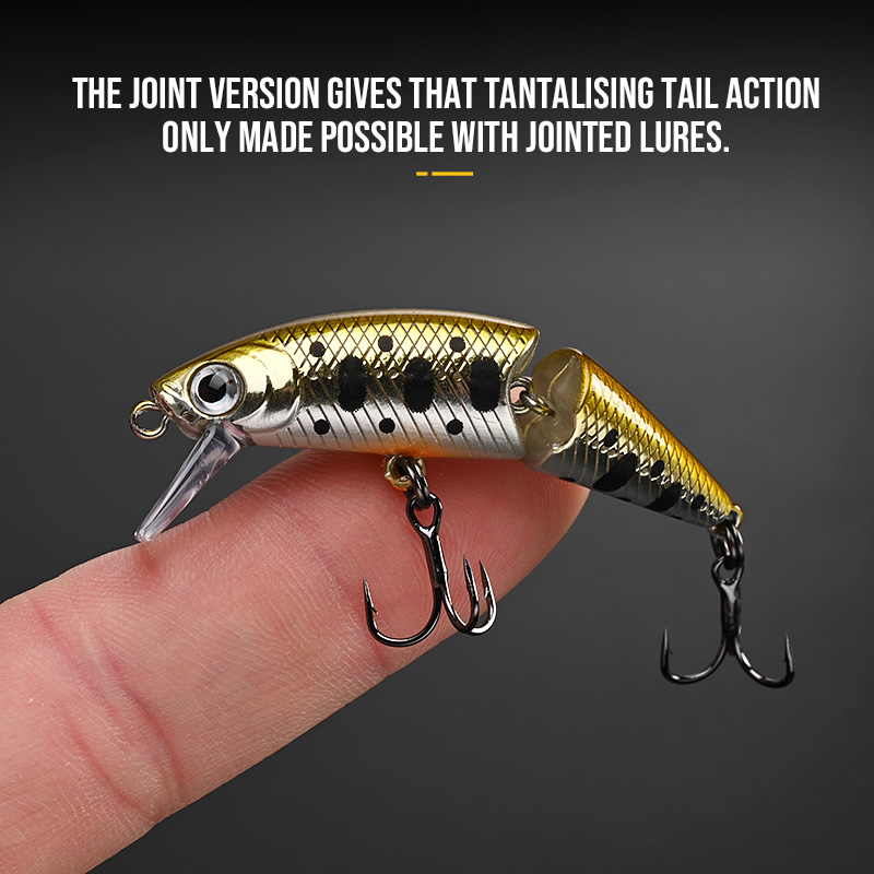 بلوكس دكتور. أسماك المشتركة 50 - مراجعة Fishing Lure Popper وسعره