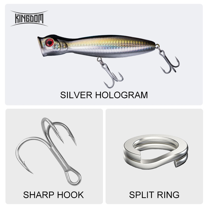 المملكة العائمة بوبر الصيد إغر - مراجعة Fishing Lure Popper وسعره